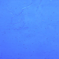 Glass Plate Sky Blue