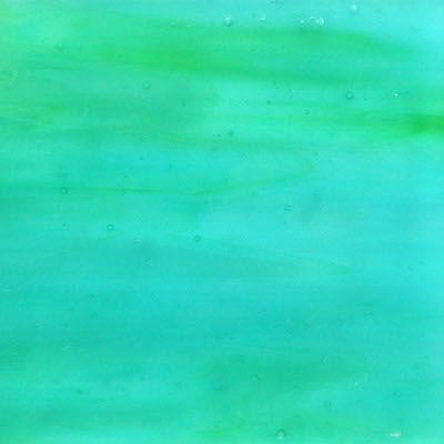 Plaque de Verre Poisson Perroquet