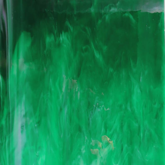 Lastra di vetro Felce Sfocato