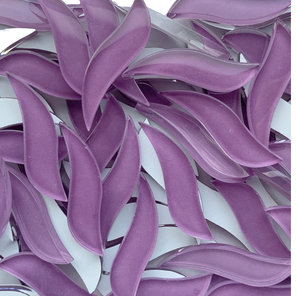 Pétale Ondulé Orchidée