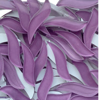 Pétale Ondulé Orchidée