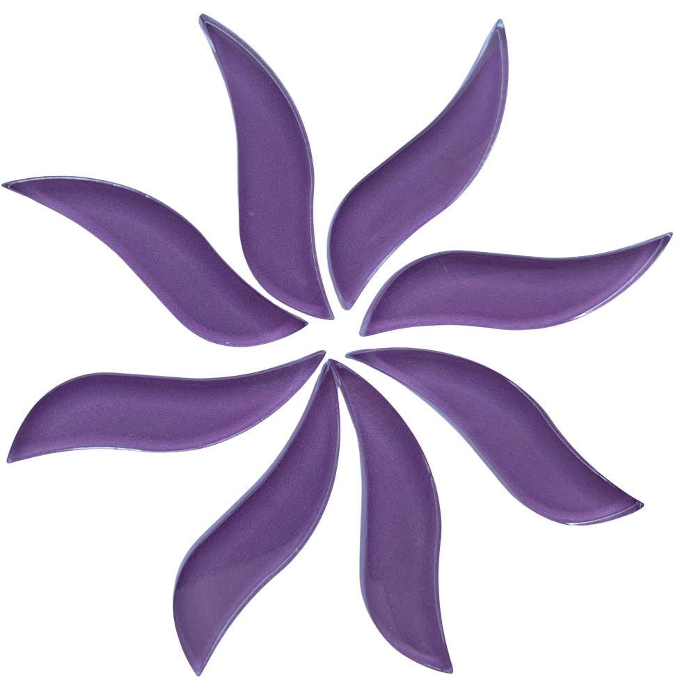 Pétale Ondulé Orchidée