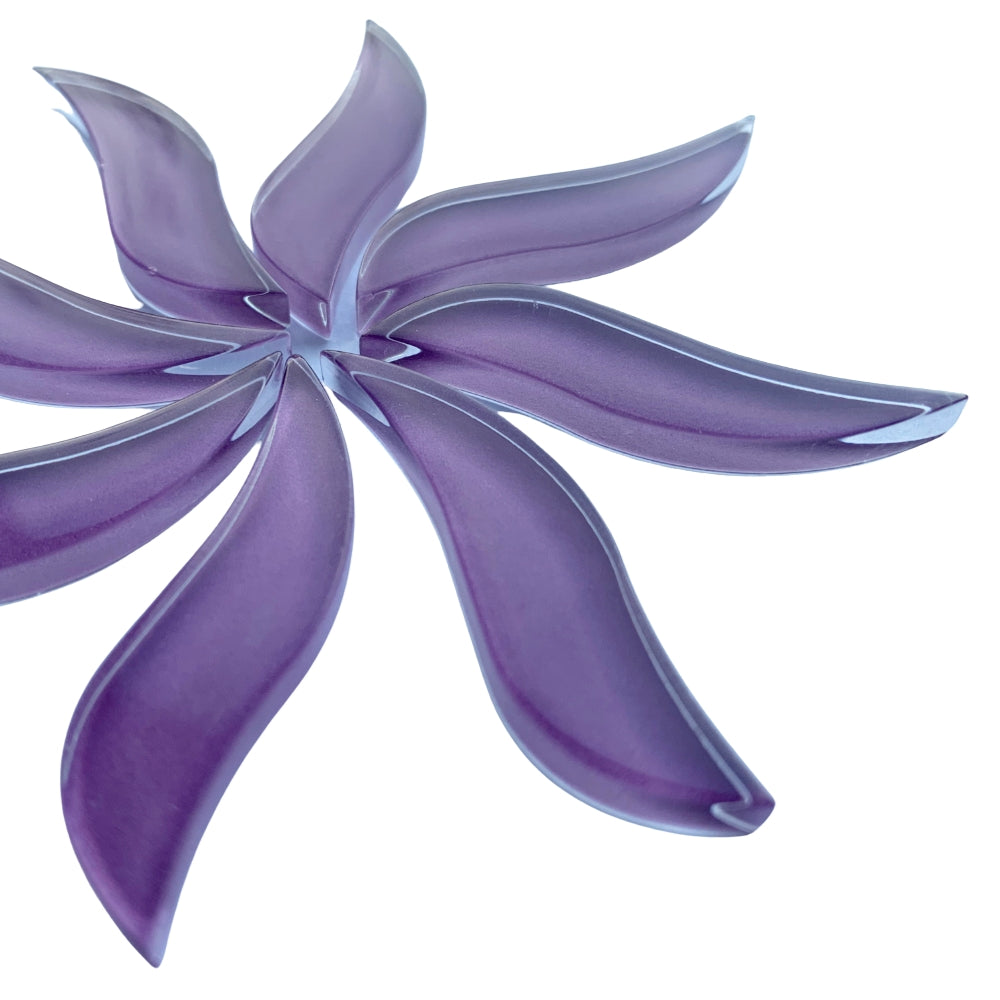 Pétale Ondulé Orchidée