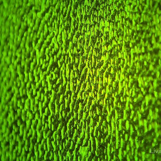 Plaque de Verre Vert Ambre Ondulé