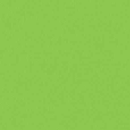 Verre Mosaique - glass mosaic -Glasmosaik-glasmozaïek-Mosa-17900 Macaw Groen 15cm - mosaicshop