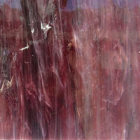 Glass Plate Shrinking Violet 