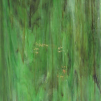 Lastra di vetro Camouflage Sfocato