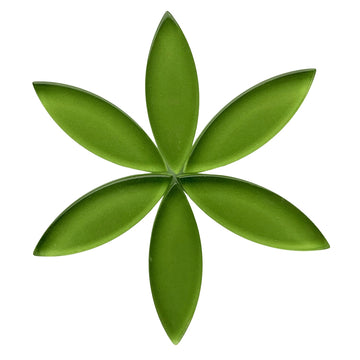 Medium Petali di Fiori Lime