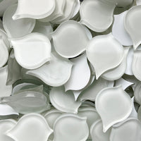 Occhio di pavone Bianco neve