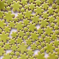 Charms Fleurs Kiwi