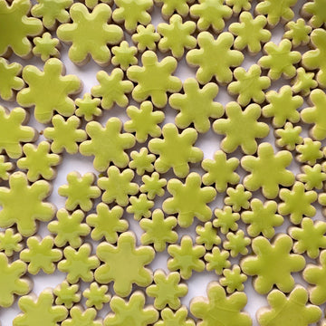 Charms Fleurs Kiwi