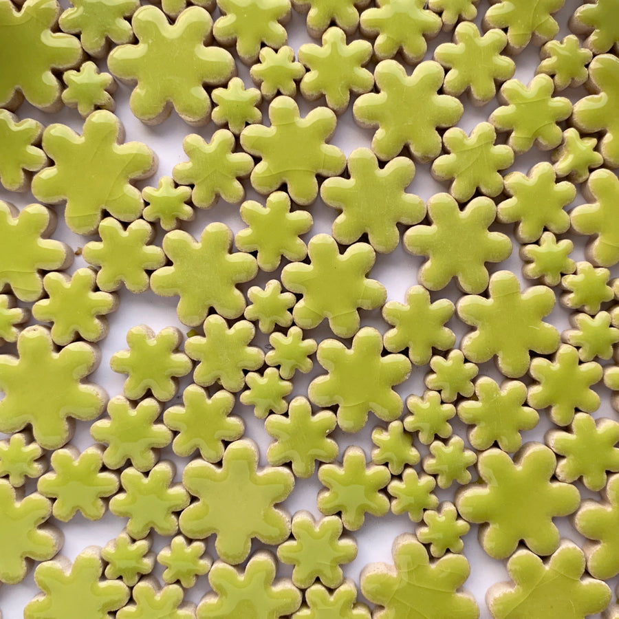 Charms Fleurs Kiwi