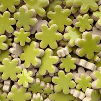 Charms Fleurs Kiwi