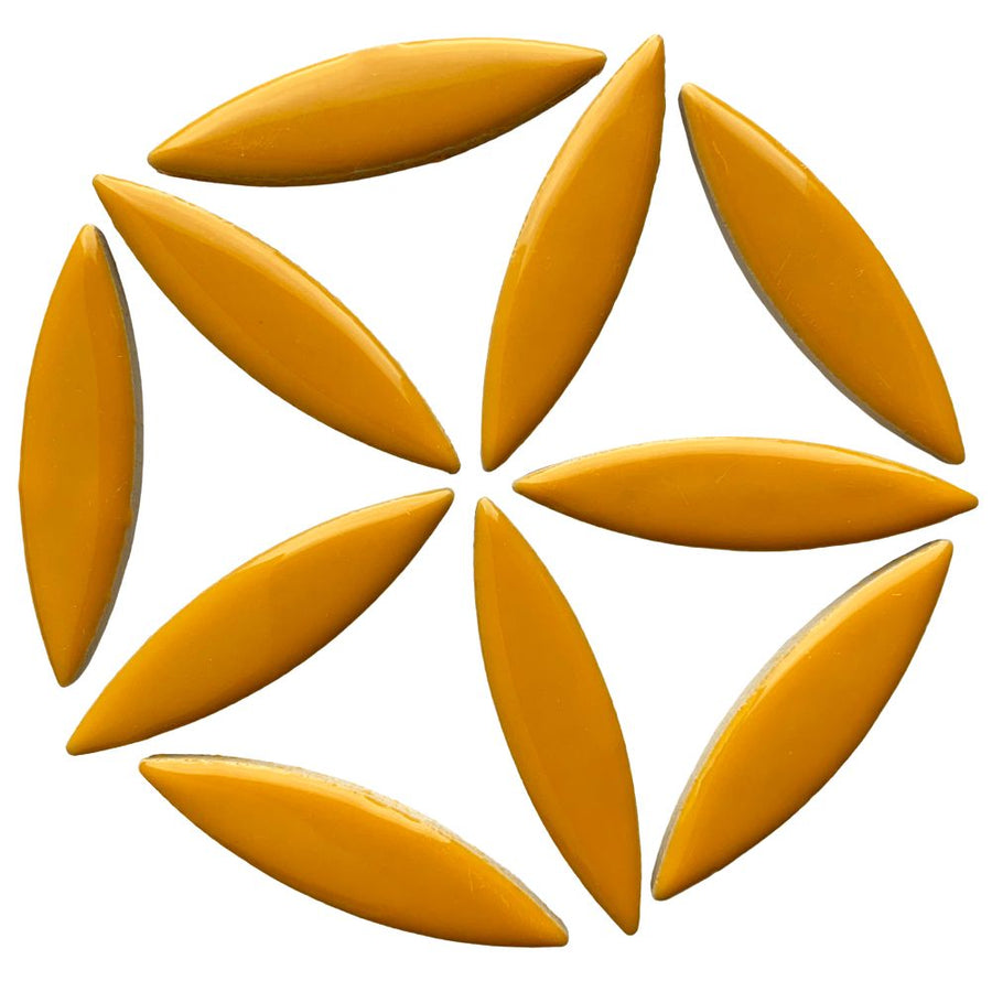 Ellips Spezia