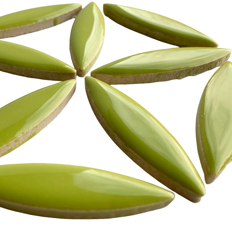 Ellipse de Céramique  Kiwi