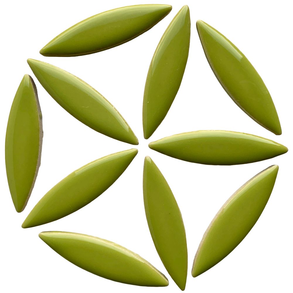 Ellipse de Céramique  Kiwi