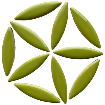 Óvalo Kiwi