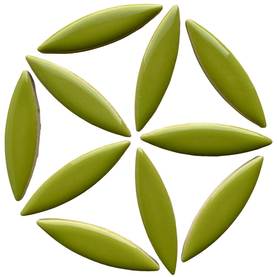 Ellipse de Céramique  Kiwi