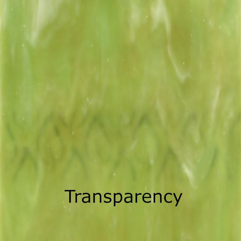 Glass Plate Fern