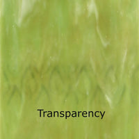 Glass Plate Fern