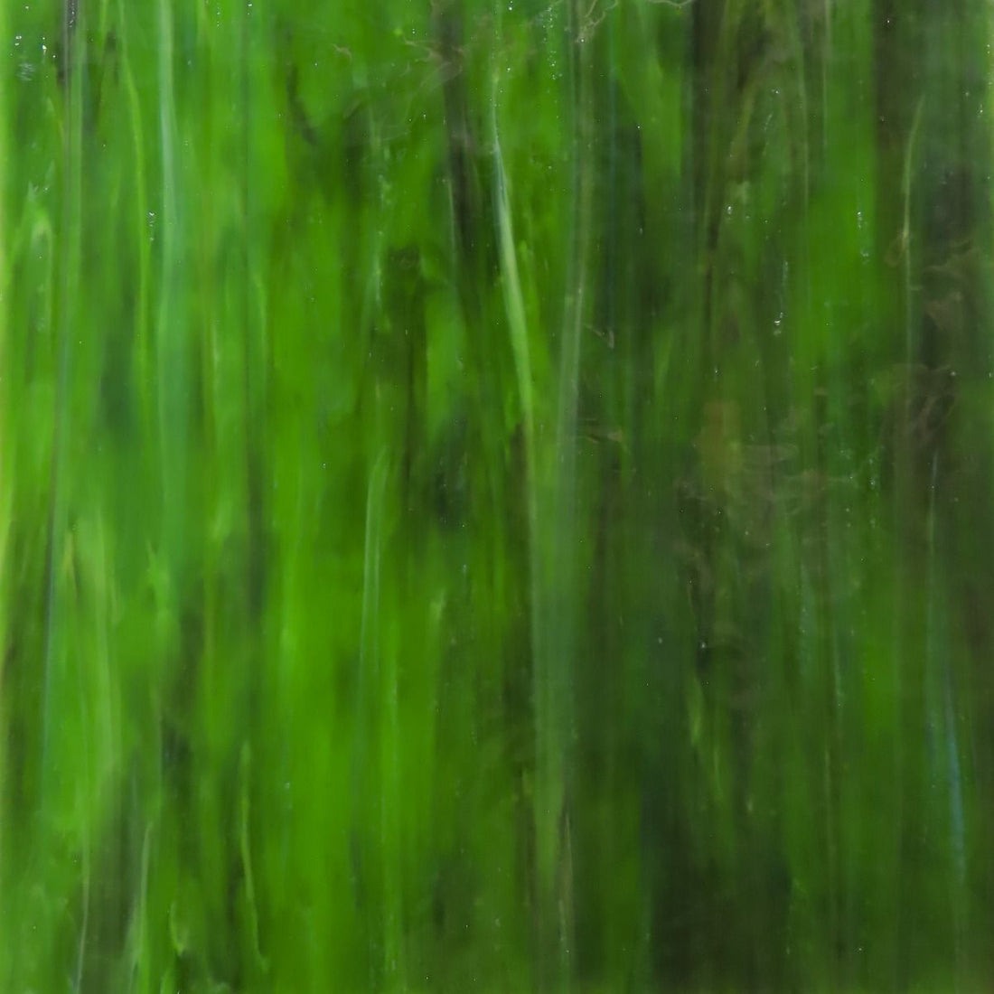 Plaque de Verre texture vert forêt