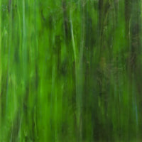 Plaque de Verre texture vert forêt