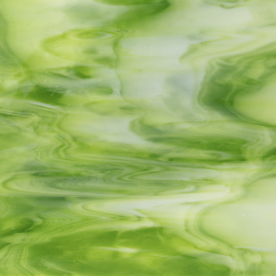 Glasplatte Heuschrecke