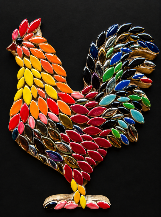 Oscar il gallo
