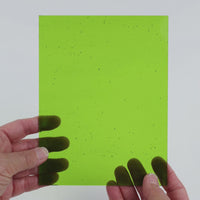 Video of the Deep Lime glass plate in transparent green, 15x19cm, held up and tilted to show its pattern and transparency