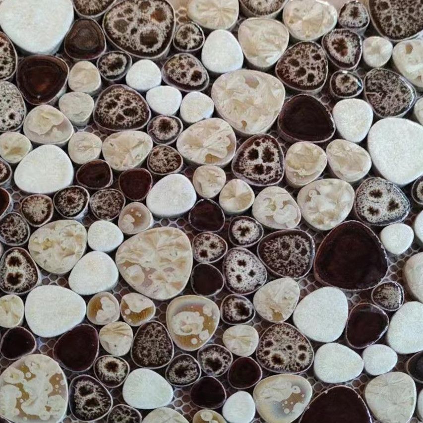 Pebbles  Mushroom