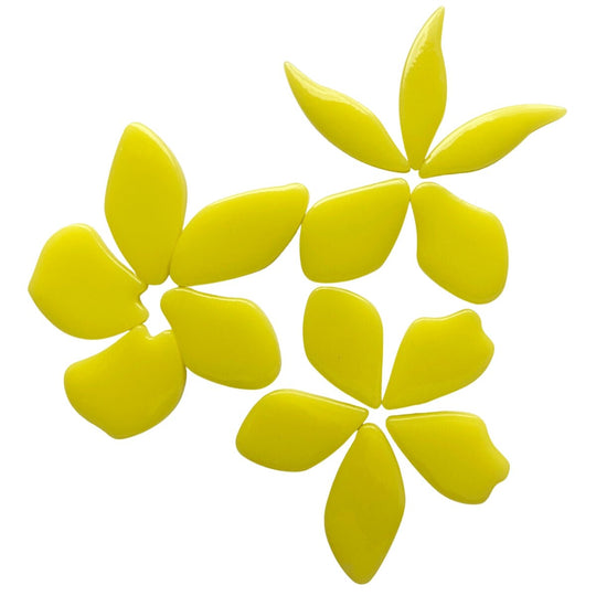 Pétales  Acide Jaune