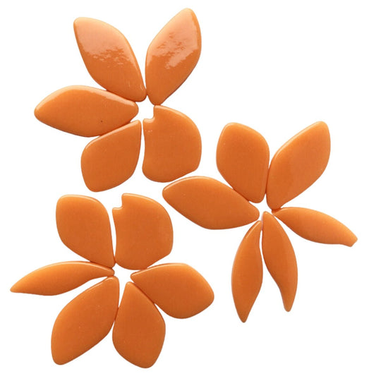 Pétales Orange Opale