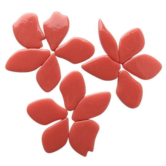 Pétales Orange Rouge