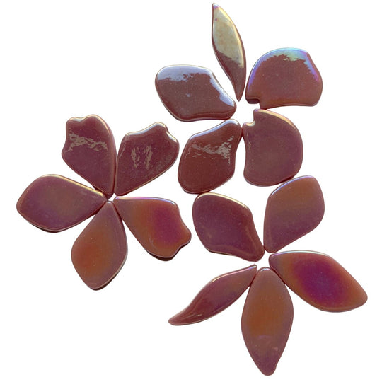 Gefallene Blütenblätter Perle Himbeere