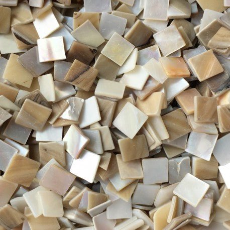 Conchiglia Madreperla 10mm