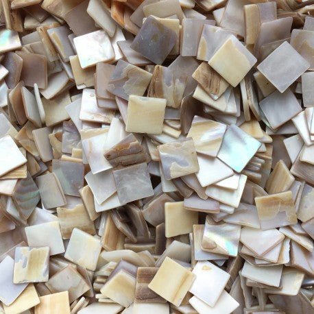 Conchiglia Madreperla 15mm