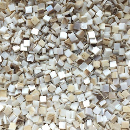 Conchiglia Madreperla 5mm